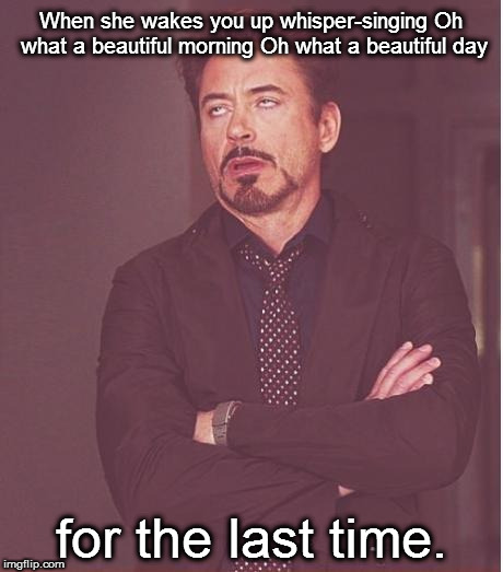 Face You Make Robert Downey Jr Meme | When she wakes you up whisper-singing Oh what a beautiful morning Oh what a beautiful day; for the last time. | image tagged in memes,face you make robert downey jr | made w/ Imgflip meme maker