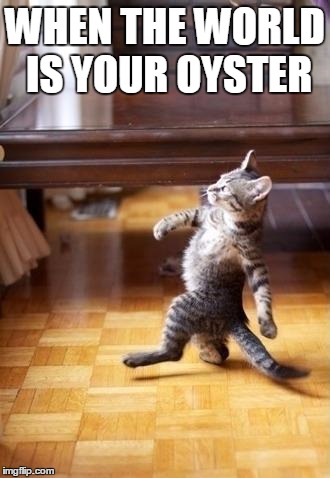 Cool Cat Stroll Meme | WHEN THE WORLD IS YOUR OYSTER | image tagged in memes,cool cat stroll | made w/ Imgflip meme maker