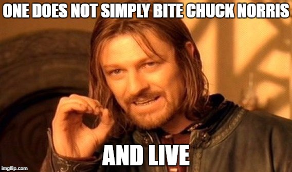 One Does Not Simply Meme | ONE DOES NOT SIMPLY BITE CHUCK NORRIS AND LIVE | image tagged in memes,one does not simply | made w/ Imgflip meme maker