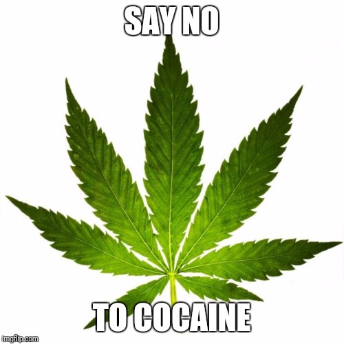 marijuana666 | SAY NO; TO COCAINE | image tagged in marijuana666 | made w/ Imgflip meme maker