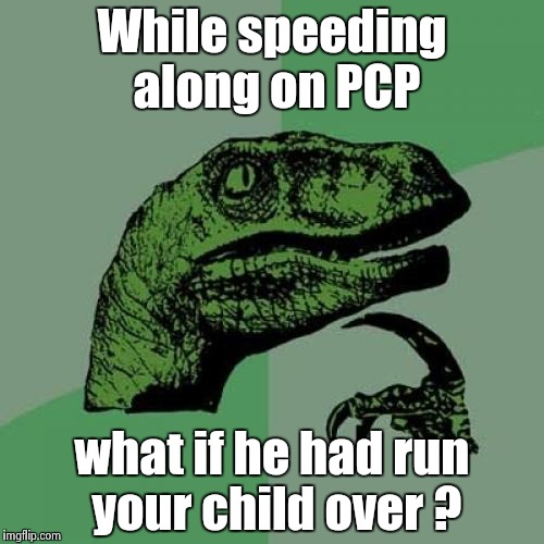 Philosoraptor Meme | While speeding along on PCP what if he had run your child over ? | image tagged in memes,philosoraptor | made w/ Imgflip meme maker