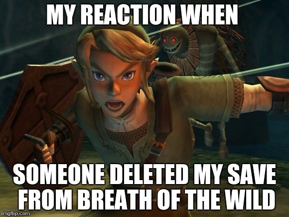 Link Legend of Zelda Yelling | MY REACTION WHEN; SOMEONE DELETED MY SAVE FROM BREATH OF THE WILD | image tagged in link legend of zelda yelling | made w/ Imgflip meme maker