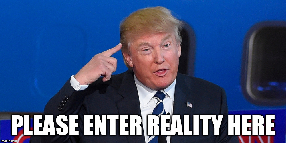 Donald Trump | PLEASE ENTER REALITY HERE | image tagged in donald trump | made w/ Imgflip meme maker