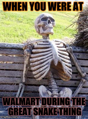 Waiting Skeleton | WHEN YOU WERE AT; WALMART DURING THE GREAT SNAKE THING | image tagged in memes,waiting skeleton | made w/ Imgflip meme maker