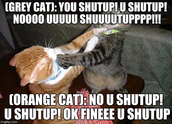 Two cats fighting for real | (GREY CAT): YOU SHUTUP! U SHUTUP! NOOOO UUUUU SHUUUUTUPPPP!!! (ORANGE CAT): NO U SHUTUP! U SHUTUP! OK FINEEE U SHUTUP | image tagged in two cats fighting for real | made w/ Imgflip meme maker