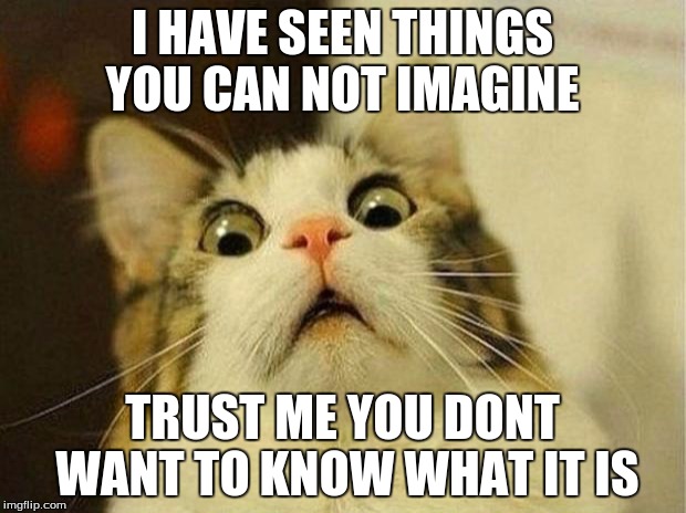 Scared Cat | I HAVE SEEN THINGS YOU CAN NOT IMAGINE; TRUST ME YOU DONT WANT TO KNOW WHAT IT IS | image tagged in memes,scared cat | made w/ Imgflip meme maker