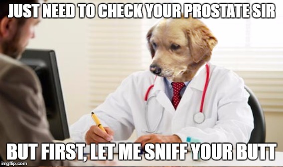 Prostate Dogtor is in da House | JUST NEED TO CHECK YOUR PROSTATE SIR; BUT FIRST, LET ME SNIFF YOUR BUTT | image tagged in dogs,animals,memes,funny,doctor,butt | made w/ Imgflip meme maker