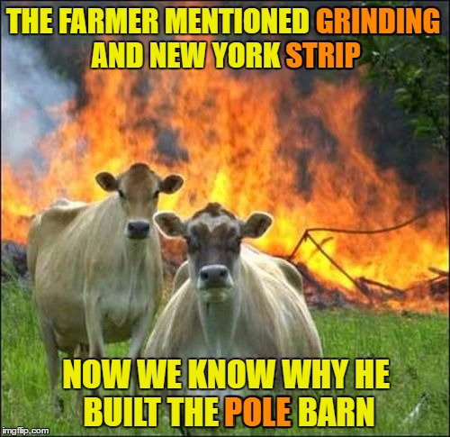 Tit For Tat | THE FARMER MENTIONED GRINDING AND NEW YORK STRIP; GRINDING; STRIP; NOW WE KNOW WHY HE BUILT THE POLE BARN; POLE | image tagged in memes,evil cows,bad puns | made w/ Imgflip meme maker