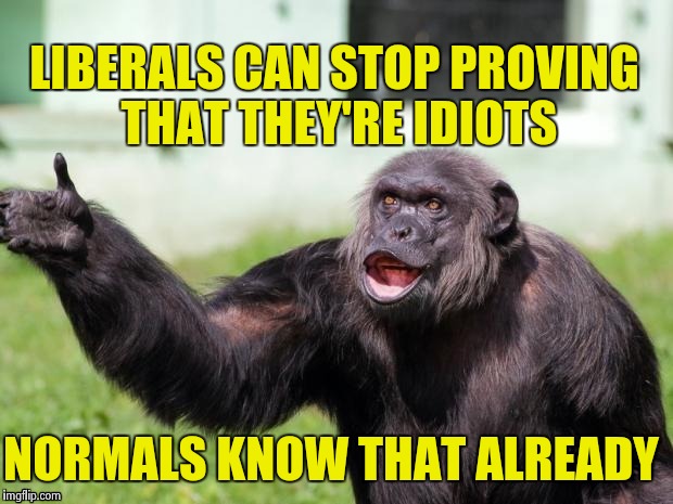 Gorilla your dreams | LIBERALS CAN STOP PROVING THAT THEY'RE IDIOTS NORMALS KNOW THAT ALREADY | image tagged in gorilla your dreams | made w/ Imgflip meme maker