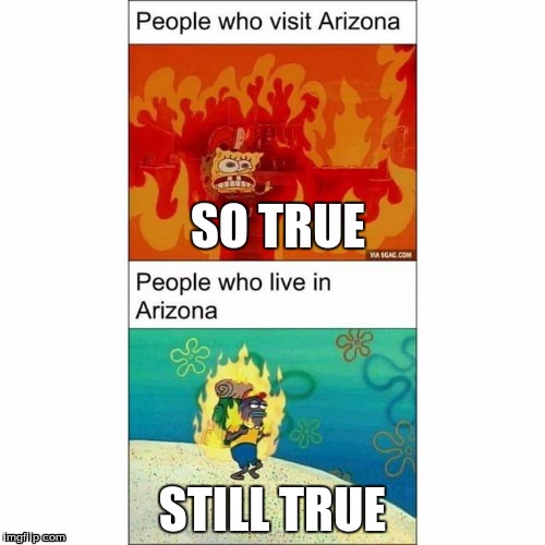 SO TRUE; STILL TRUE | image tagged in spongebob,arizona,memes | made w/ Imgflip meme maker