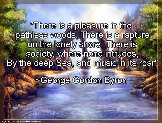 Lonely Shore | “There is a pleasure in the pathless woods, There is a rapture on the lonely shore, There is society, where none intrudes, By the deep Sea, and music in its roar"; ~George Gordon Byron | image tagged in lord byron,pathless woods,solace,nature,solitude | made w/ Imgflip meme maker