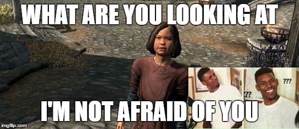 WHAT ARE YOU LOOKING AT; I'M NOT AFRAID OF YOU | image tagged in skyrim | made w/ Imgflip meme maker