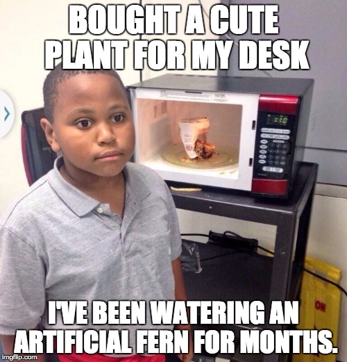 Instant Noodle/regret Kid | BOUGHT A CUTE PLANT FOR MY DESK; I'VE BEEN WATERING AN ARTIFICIAL FERN FOR MONTHS. | image tagged in instant noodle/regret kid,AdviceAnimals | made w/ Imgflip meme maker