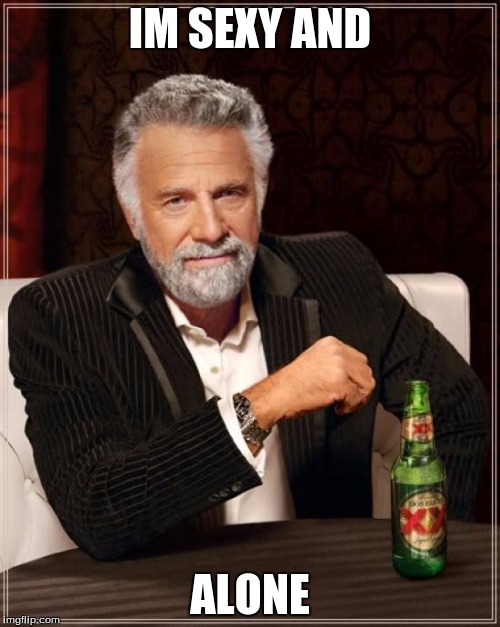 Im sexy
 | IM SEXY AND; ALONE | image tagged in memes,the most interesting man in the world | made w/ Imgflip meme maker