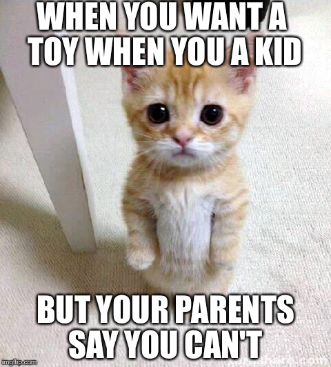 Cute Cat | WHEN YOU WANT A TOY
WHEN YOU A KID; BUT YOUR PARENTS SAY YOU CAN'T | image tagged in memes,cute cat | made w/ Imgflip meme maker