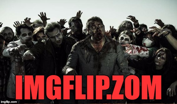 IMGFLIP.ZOM | made w/ Imgflip meme maker