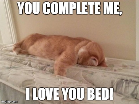 YOU COMPLETE ME, I LOVE YOU BED! | image tagged in love you bed | made w/ Imgflip meme maker