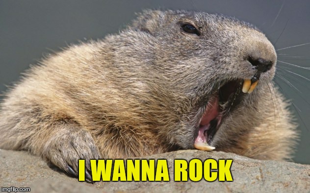 I WANNA ROCK | made w/ Imgflip meme maker