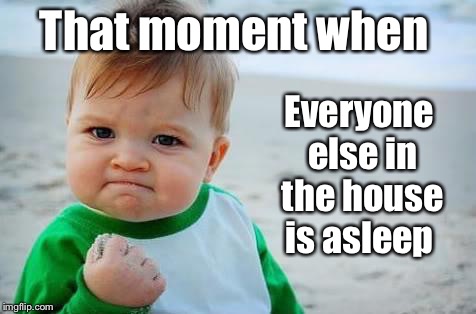 Fist pump baby | That moment when; Everyone else in the house is asleep | image tagged in fist pump baby | made w/ Imgflip meme maker