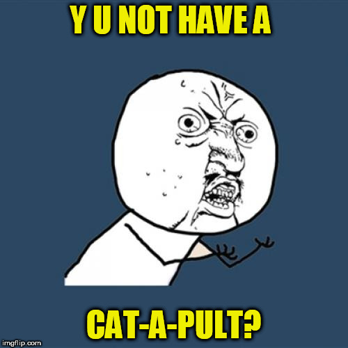 Y U No Meme | Y U NOT HAVE A CAT-A-PULT? | image tagged in memes,y u no | made w/ Imgflip meme maker