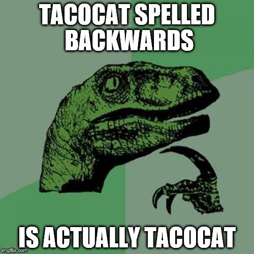 Philosoraptor | TACOCAT SPELLED BACKWARDS; IS ACTUALLY TACOCAT | image tagged in memes,philosoraptor | made w/ Imgflip meme maker