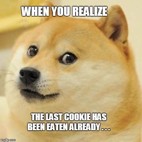 Doge Meme | WHEN YOU REALIZE; THE LAST COOKIE HAS BEEN EATEN ALREADY . . . | image tagged in memes,doge | made w/ Imgflip meme maker