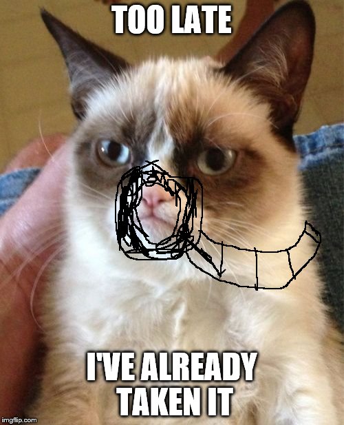 Grumpy Cat Meme | TOO LATE I'VE ALREADY TAKEN IT | image tagged in memes,grumpy cat | made w/ Imgflip meme maker