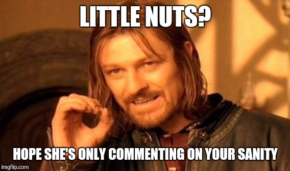 One Does Not Simply Meme | LITTLE NUTS? HOPE SHE'S ONLY COMMENTING ON YOUR SANITY | image tagged in memes,one does not simply | made w/ Imgflip meme maker