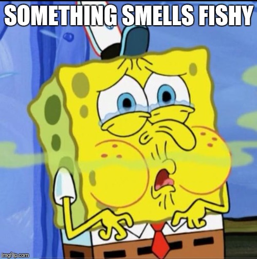 SOMETHING SMELLS FISHY | made w/ Imgflip meme maker