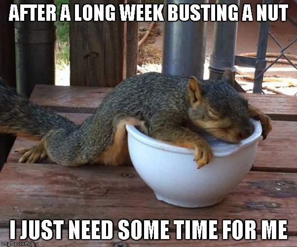 Drunk Squirrel  | AFTER A LONG WEEK BUSTING A NUT; I JUST NEED SOME TIME FOR ME | image tagged in drunk squirrel | made w/ Imgflip meme maker