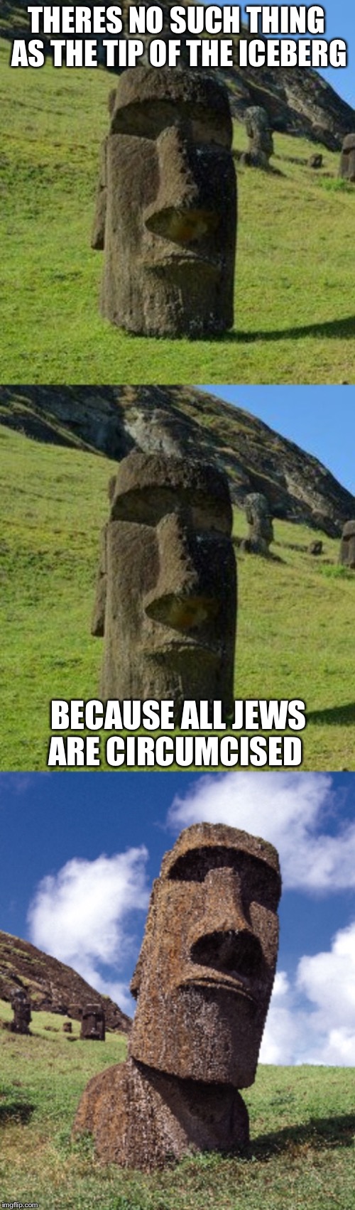 Bad Pun Moai | THERES NO SUCH THING AS THE TIP OF THE ICEBERG; BECAUSE ALL JEWS ARE CIRCUMCISED | image tagged in bad pun moai,bad puns,memes,funny | made w/ Imgflip meme maker