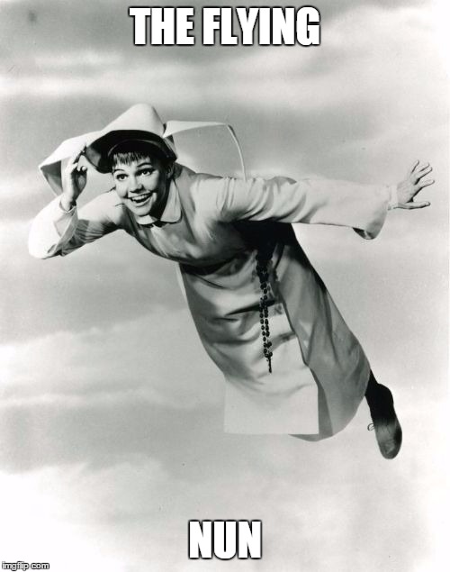 THE FLYING NUN | image tagged in flying sally | made w/ Imgflip meme maker