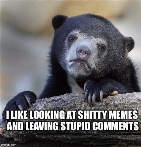 Confession Bear Meme | I LIKE LOOKING AT SHITTY MEMES AND LEAVING STUPID COMMENTS | image tagged in memes,confession bear | made w/ Imgflip meme maker