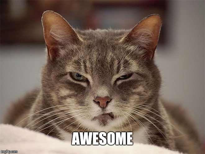 Sarcasm Cat | AWESOME | image tagged in sarcasm cat | made w/ Imgflip meme maker