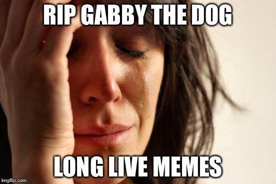 First World Problems Meme | RIP GABBY
THE DOG; LONG LIVE MEMES | image tagged in memes,first world problems | made w/ Imgflip meme maker