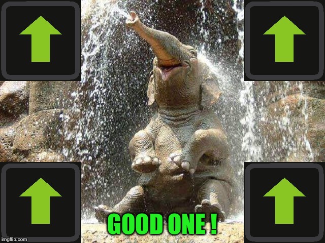 Upvote Elephant | GOOD ONE ! | image tagged in upvote elephant | made w/ Imgflip meme maker