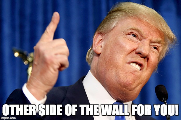 Donald Trump | OTHER SIDE OF THE WALL FOR YOU! | image tagged in donald trump | made w/ Imgflip meme maker