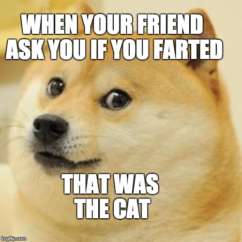 Doge Meme | WHEN YOUR FRIEND ASK YOU IF YOU FARTED; THAT WAS THE CAT | image tagged in memes,doge | made w/ Imgflip meme maker