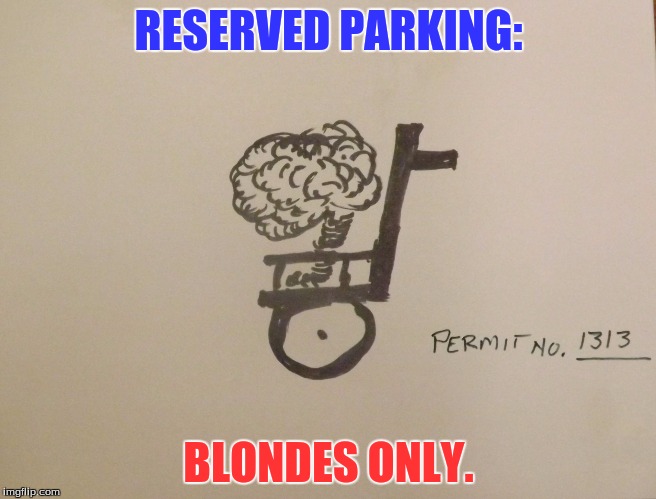 RESERVED PARKING:; BLONDES ONLY. | image tagged in humor | made w/ Imgflip meme maker