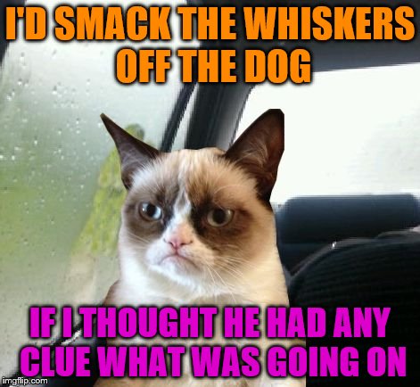 Introspective Grumpy Cat | I'D SMACK THE WHISKERS OFF THE DOG; IF I THOUGHT HE HAD ANY CLUE WHAT WAS GOING ON | image tagged in introspective grumpy cat | made w/ Imgflip meme maker