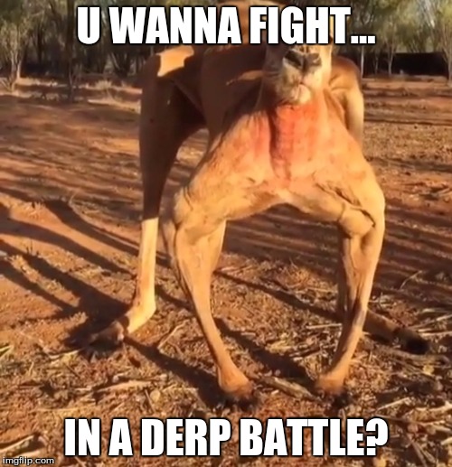 haha funny meme | U WANNA FIGHT... IN A DERP BATTLE? | image tagged in haha funny meme | made w/ Imgflip meme maker