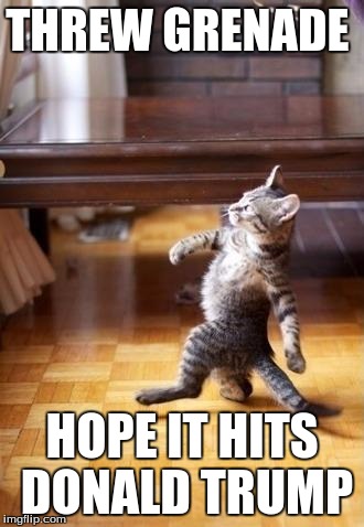Cool Cat Stroll | THREW GRENADE; HOPE IT HITS DONALD TRUMP | image tagged in memes,cool cat stroll | made w/ Imgflip meme maker