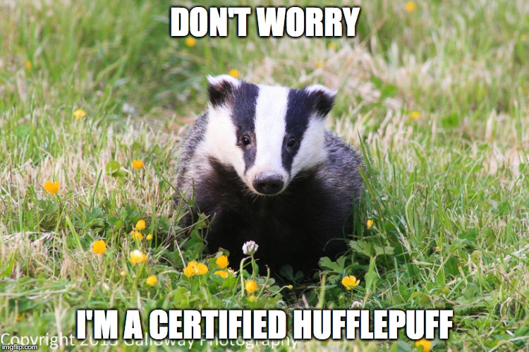DON'T WORRY; I'M A CERTIFIED HUFFLEPUFF | made w/ Imgflip meme maker