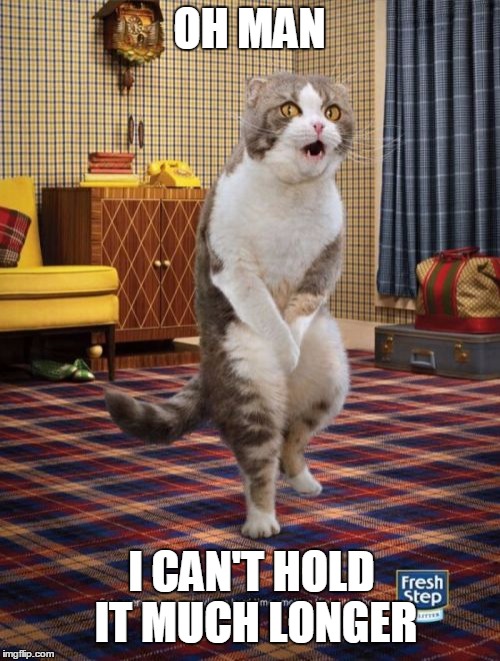 Gotta Go Cat Meme | OH MAN; I CAN'T HOLD IT MUCH LONGER | image tagged in memes,gotta go cat | made w/ Imgflip meme maker
