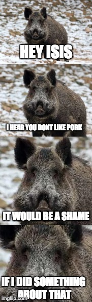 isis terrorists mauled by Boars in Iraq

 http://www.vivaliberty.com/wild-boars-maul-three-isis-terrorists-to-death-in-iraq/ | HEY ISIS; I HEAR YOU DONT LIKE PORK; IT WOULD BE A SHAME; IF I DID SOMETHING ABOUT THAT | image tagged in isis joke,pigs,terrorists,iraq,one does not simply,bad luck brian | made w/ Imgflip meme maker
