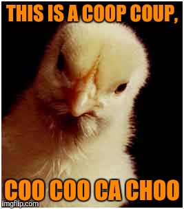 THIS IS A COOP COUP, COO COO CA CHOO | made w/ Imgflip meme maker
