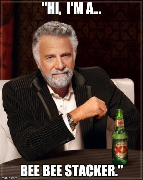 The Most Interesting Man In The World Meme | "HI,  I'M A... BEE BEE STACKER." | image tagged in memes,the most interesting man in the world | made w/ Imgflip meme maker