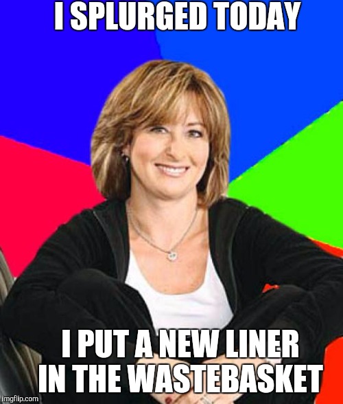Sheltering Suburban Mom | I SPLURGED TODAY; I PUT A NEW LINER IN THE WASTEBASKET | image tagged in memes,sheltering suburban mom | made w/ Imgflip meme maker