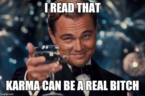 Leonardo Dicaprio Cheers Meme | I READ THAT KARMA CAN BE A REAL B**CH | image tagged in memes,leonardo dicaprio cheers | made w/ Imgflip meme maker