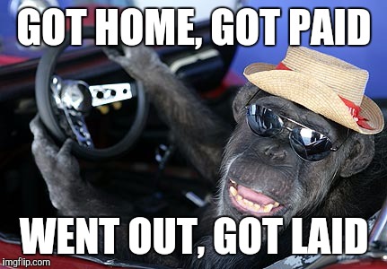 Monkey driver | GOT HOME, GOT PAID WENT OUT, GOT LAID | image tagged in monkey driver | made w/ Imgflip meme maker
